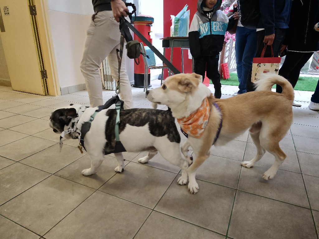 IMG 20260207 133129436 BURST14