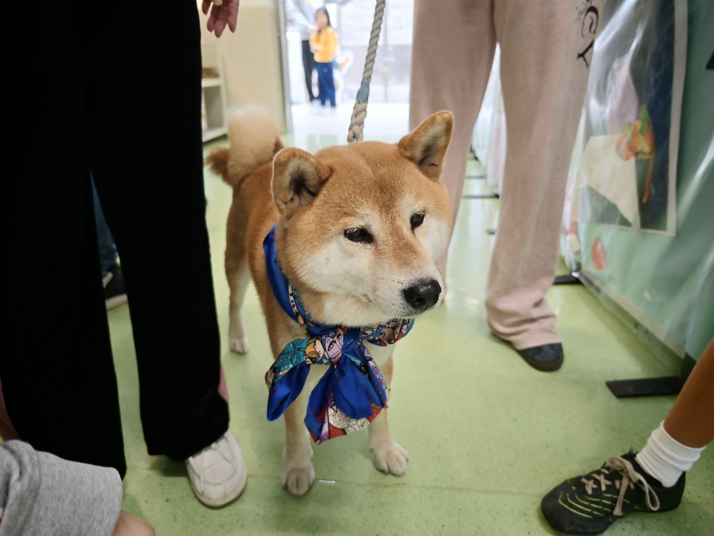 IMG 20260207 134219963 BURST12