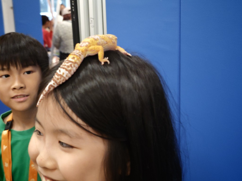 IMG 20260207 134826274 BURST10