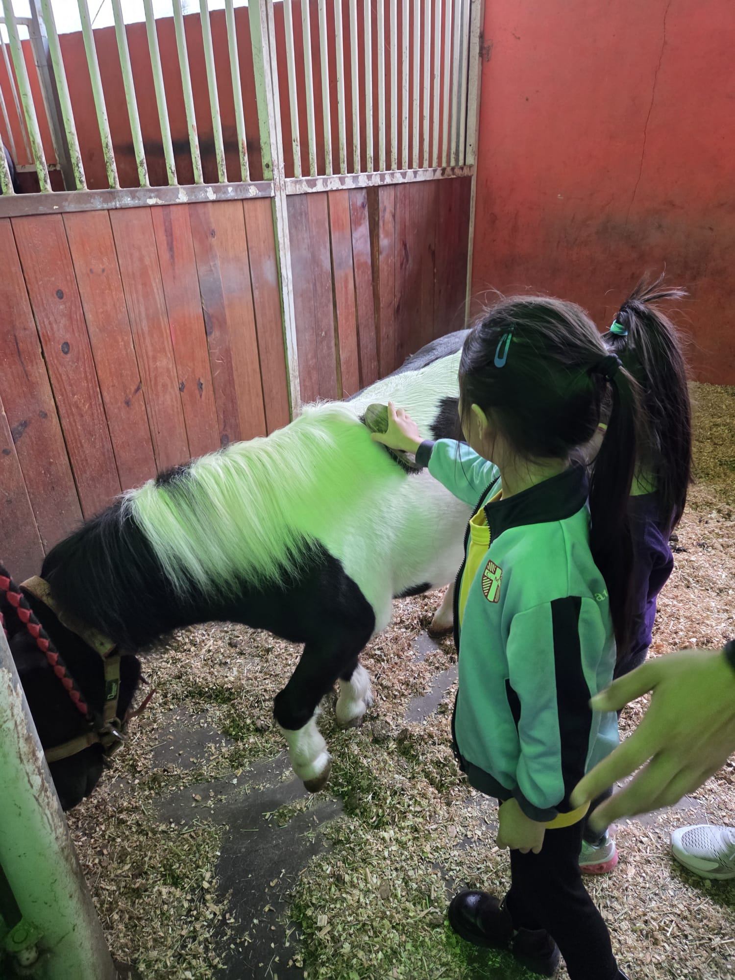 WhatsApp Image 2025 10 23 at 09.13.06